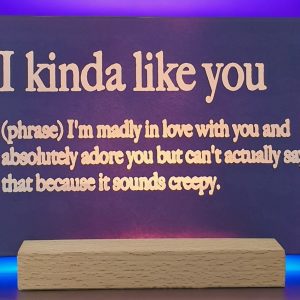 Witty Love Definition Light - Engraved Acrylic Humorous Gift with USB Base