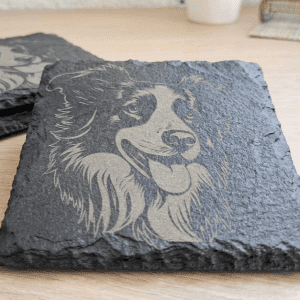 Engraved Border Collie Square Coaster